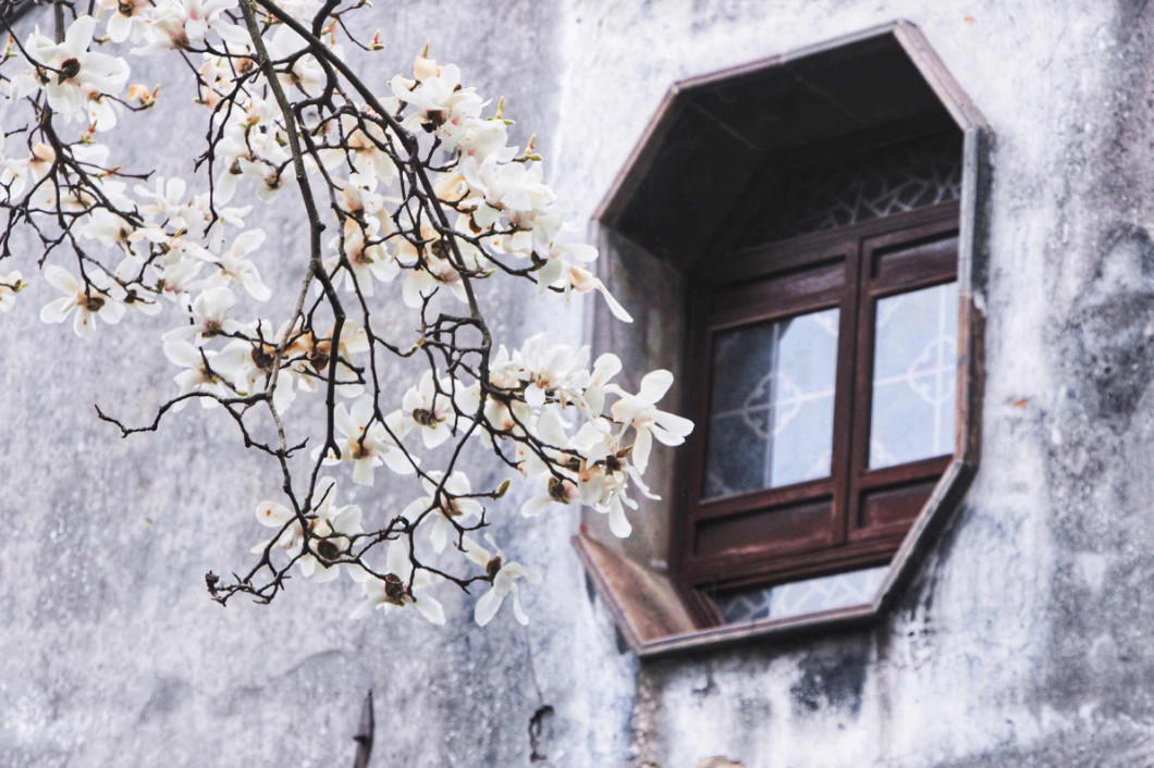 古鎮(zhèn)游玩，有一種說(shuō)走就走的旅行