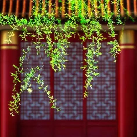 雄峙數(shù)千年的古建筑，歷史古建筑風(fēng)情萬種！