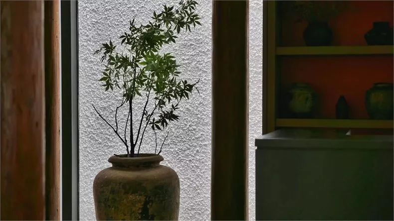 新中式建筑:望廬·一處徽派老宅的煥然新生!