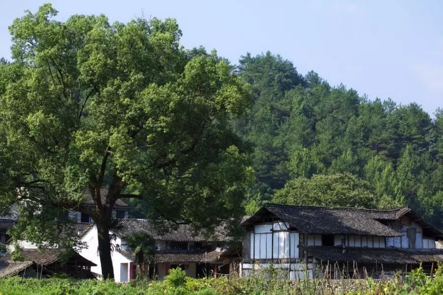 中國(guó)古建筑，千年古村不會(huì)消失但卻只剩下老房