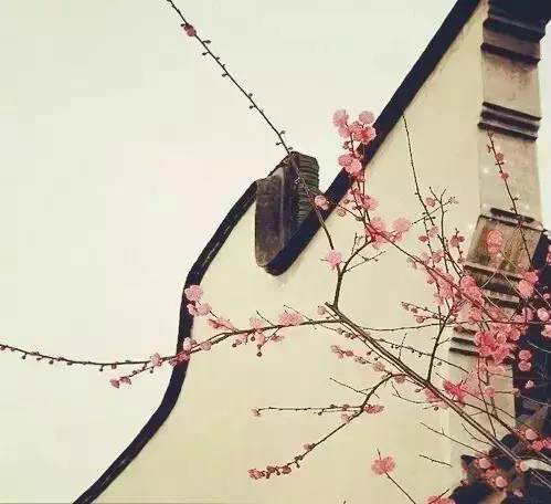 驚艷世界的中國(guó)建筑之美的五大類(lèi)別