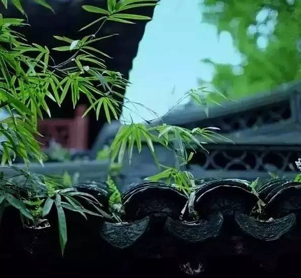 古建筑，一片瓦，遮風擋雨