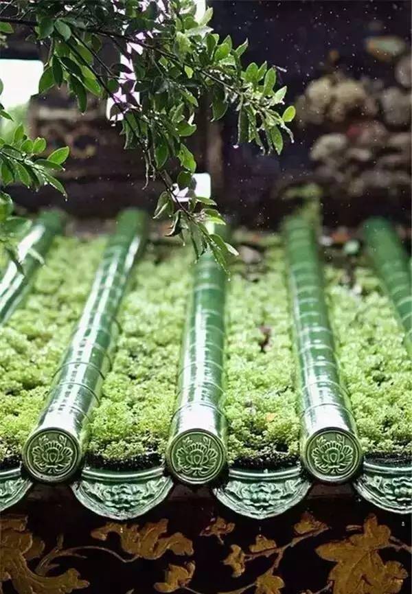 古建筑，一片瓦，遮風(fēng)擋雨
