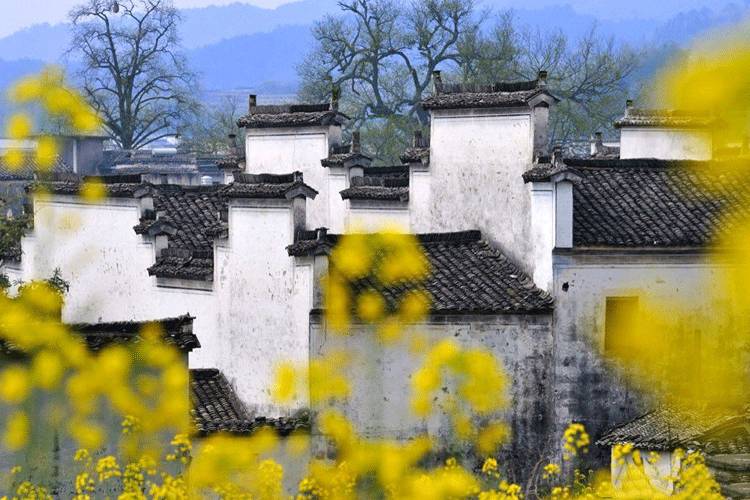古建筑，一片瓦，遮風(fēng)擋雨