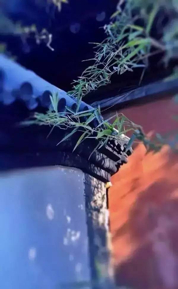 古建筑，一片瓦，遮風(fēng)擋雨