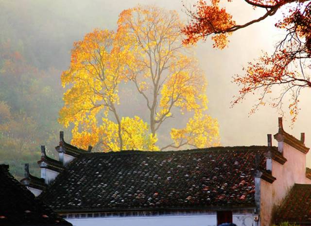 古建筑，一片瓦，遮風(fēng)擋雨