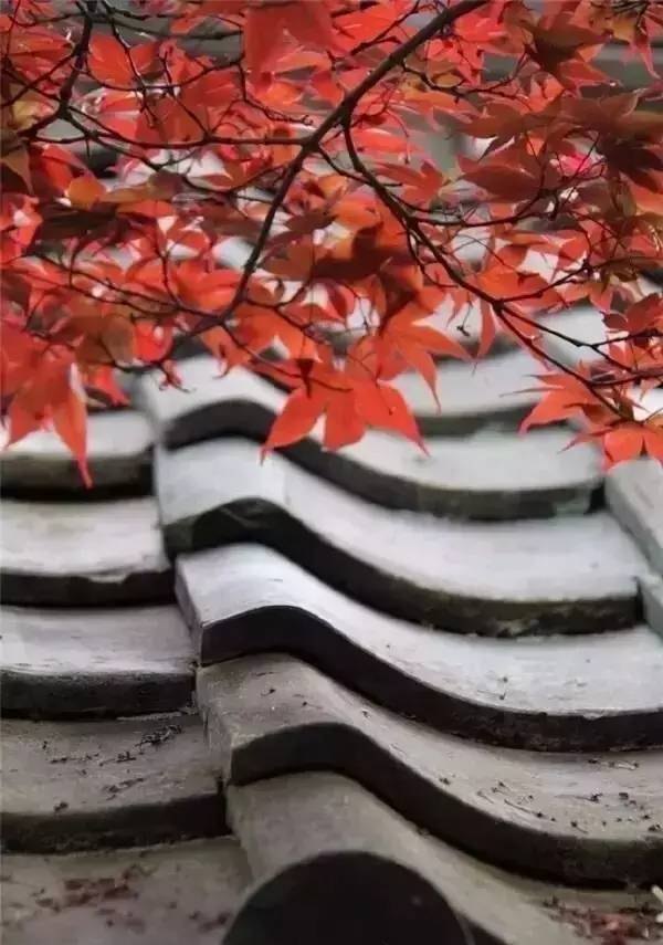 古建筑，一片瓦，遮風擋雨