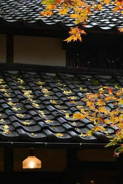 古建筑，一片瓦，遮風擋雨