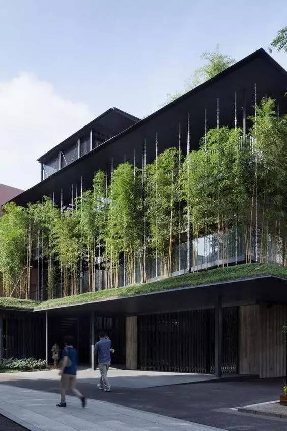 木格柵建筑，次序中的美