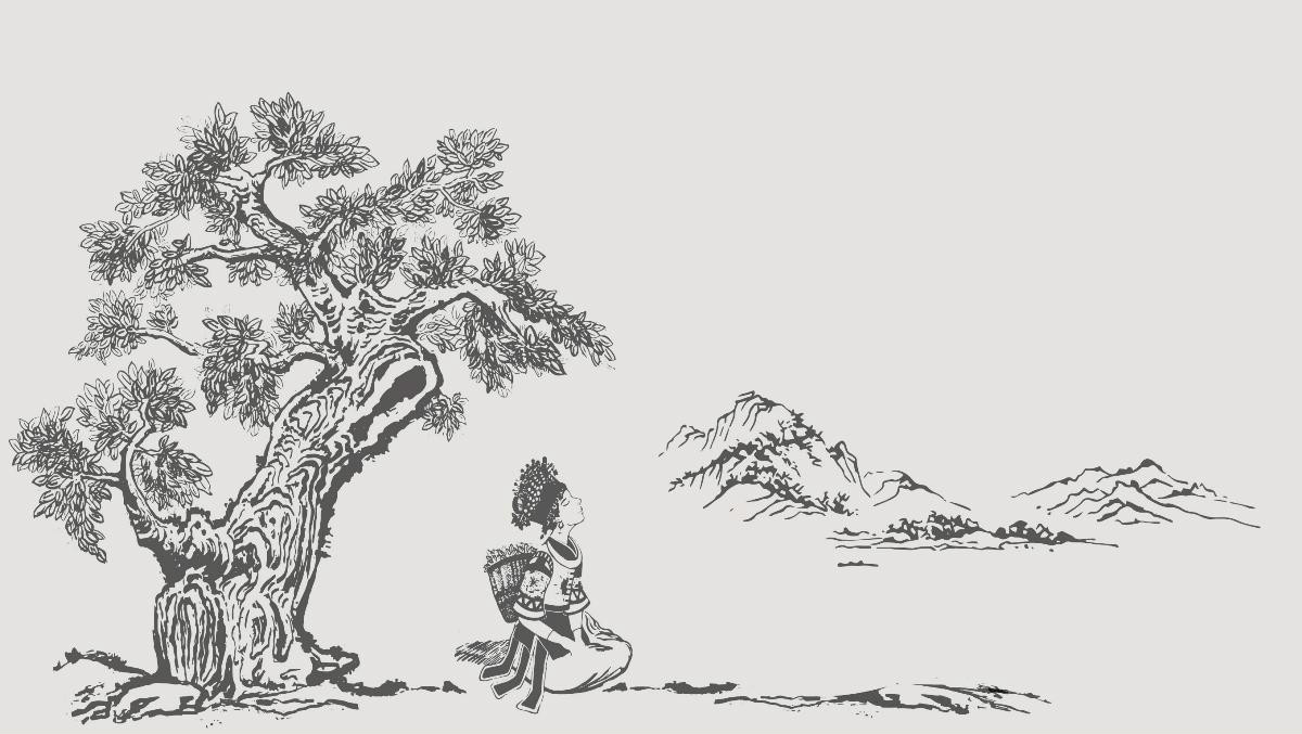 貴州民族特色包裝設計，古樹茶葉包裝設計