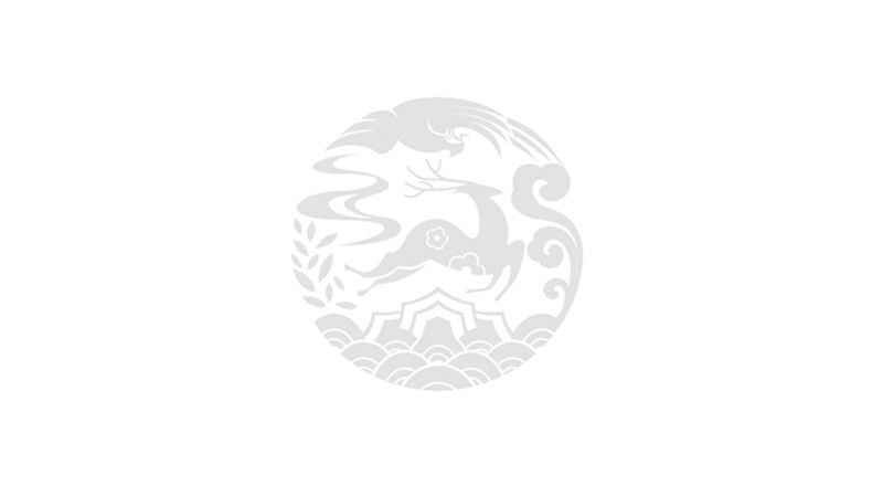 鹿茸片、鹿茸粉包裝設(shè)計(jì)