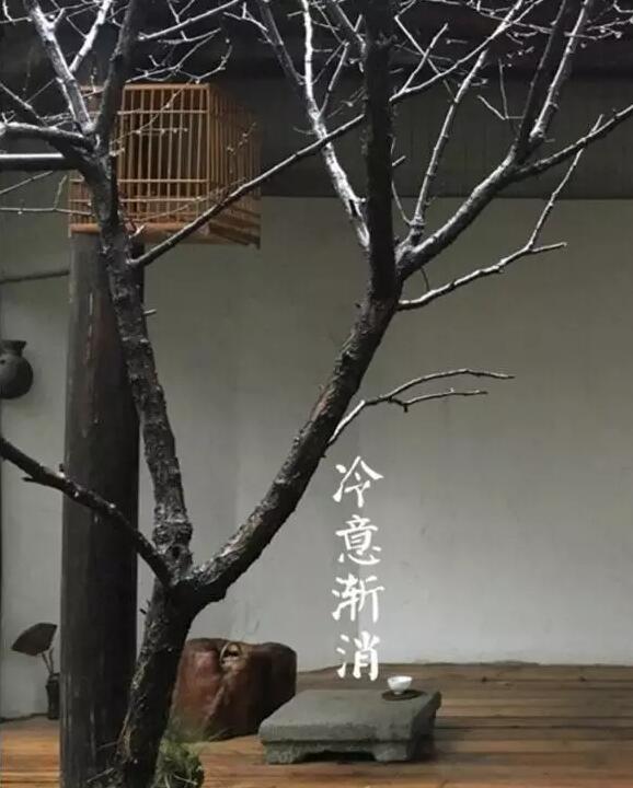 雨水：天生一水，散而為雨