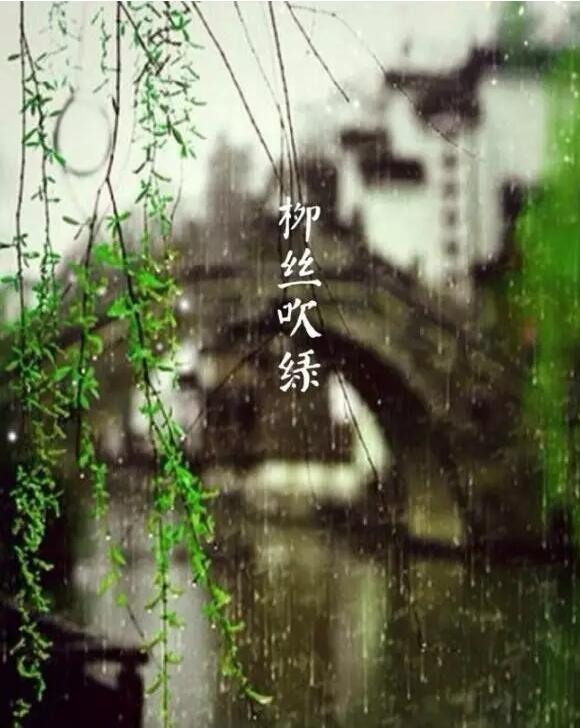 雨水：天生一水，散而為雨