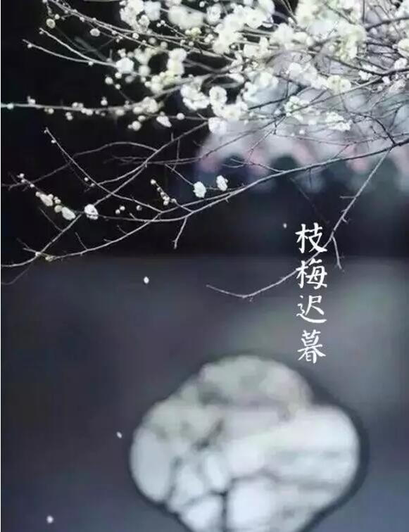 雨水：天生一水，散而為雨