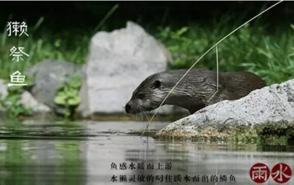 雨水：天生一水，散而為雨