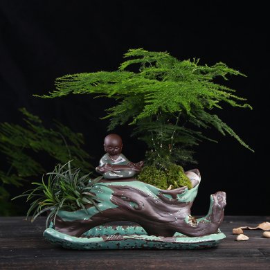 別具風味的文竹陶瓷盆景，禪意小和尚盆景圖片