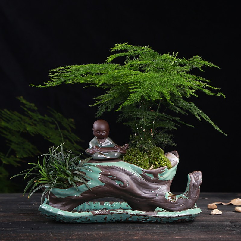別具風味的文竹陶瓷盆景，禪意小和尚盆景圖片