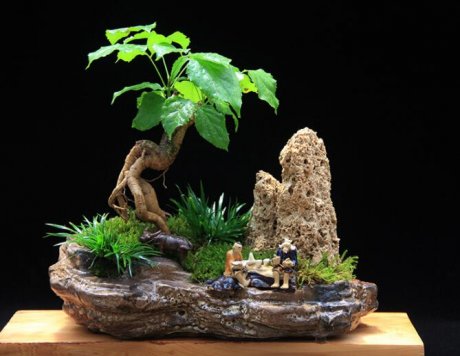 高檔水石藝術(shù)組合，綠植微景觀旱盆盆景