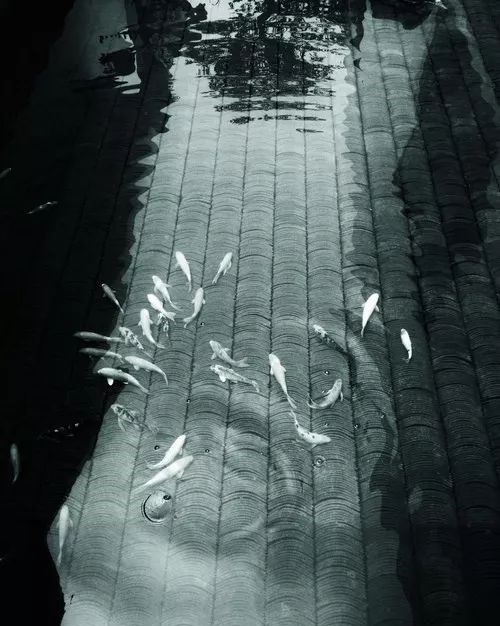 園林景觀設(shè)計(jì)中水景的10種營(yíng)造方式