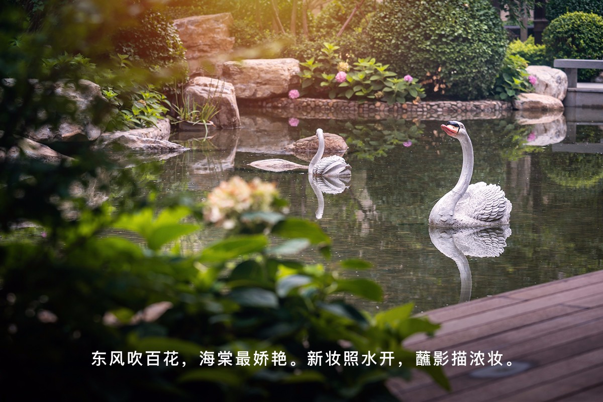 龍湖五維景觀·人文，歷史不說話全在建筑