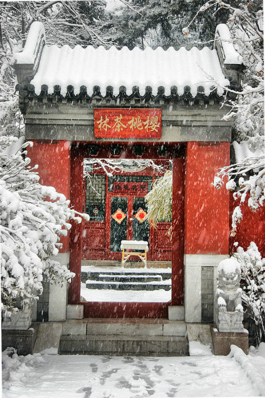 一組流淌著歲月的中國(guó)門，美呆了！