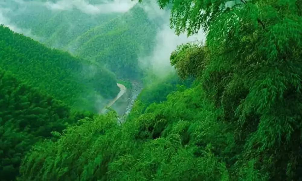 安吉·仁里息心廬，擁泉而居枕山而眠!