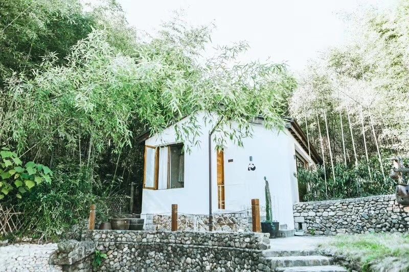莫干山·柒竹悠南山，安靜的世外桃源