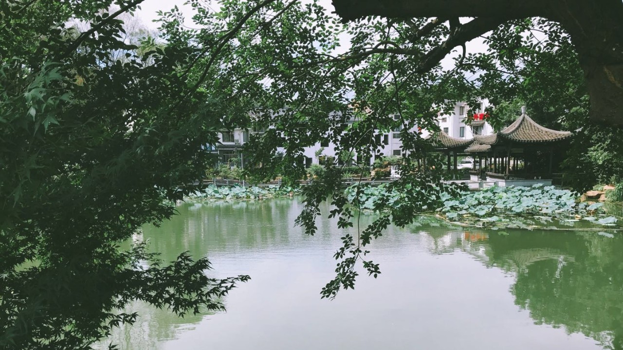 杭州·茶田秘境，有生之年盡情去折騰