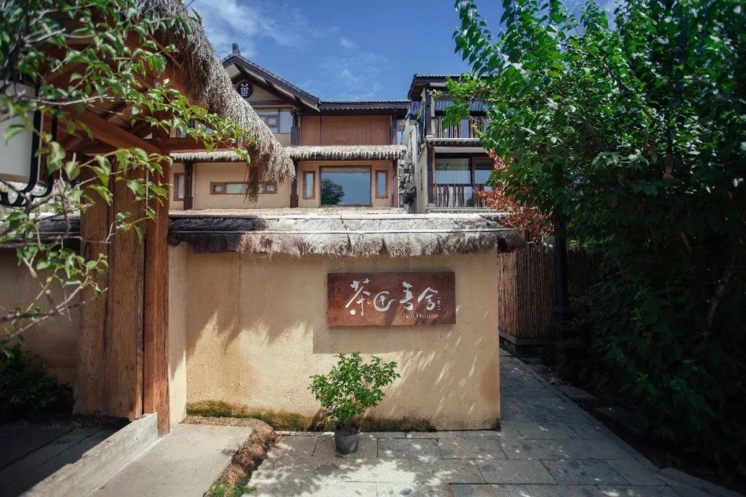 杭州·茶田秘境，有生之年盡情去折騰