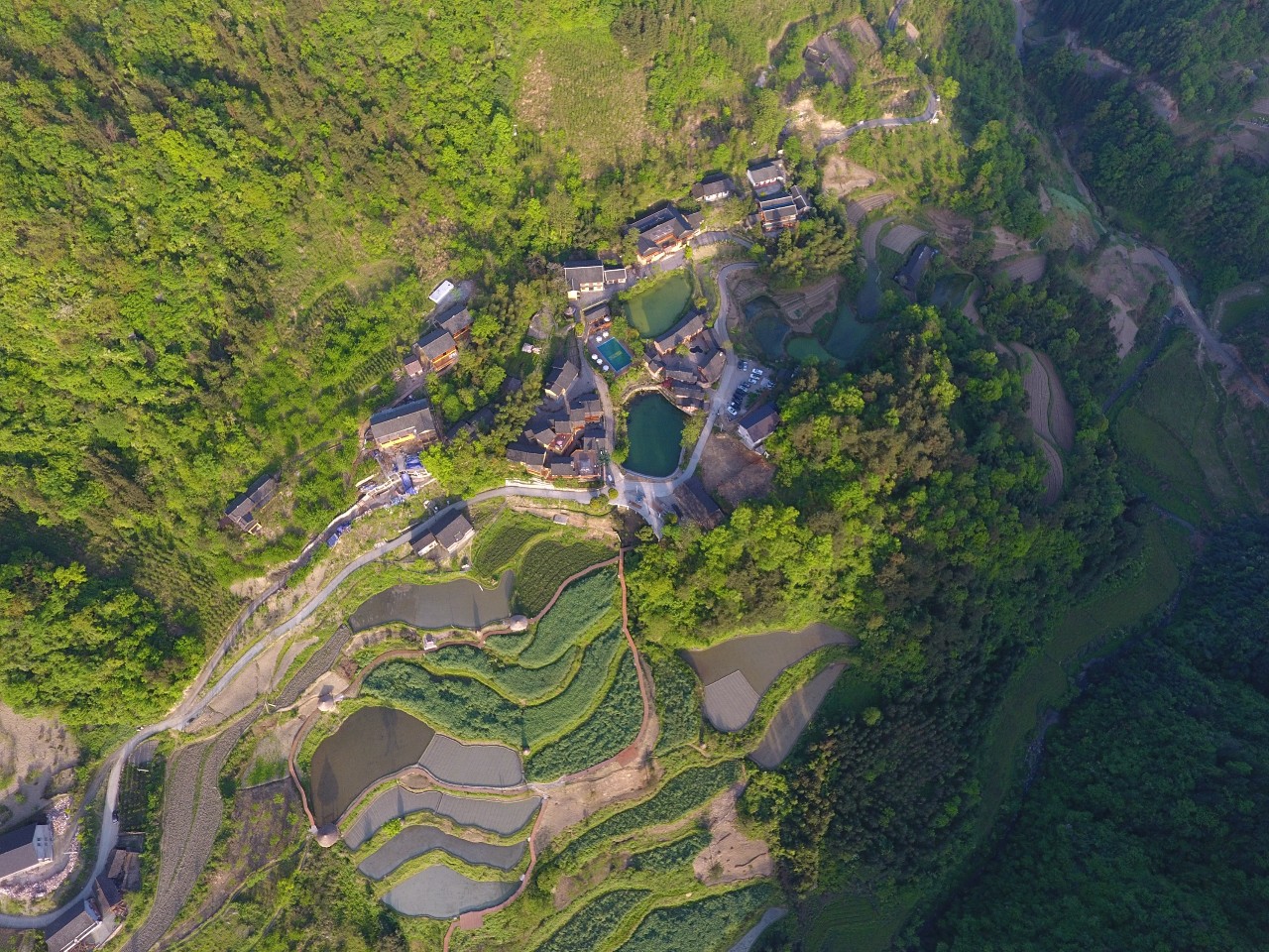 張家界·五號(hào)山谷，山谷在重生！