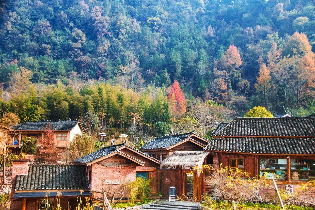 張家界·五號山谷，山谷在重生！