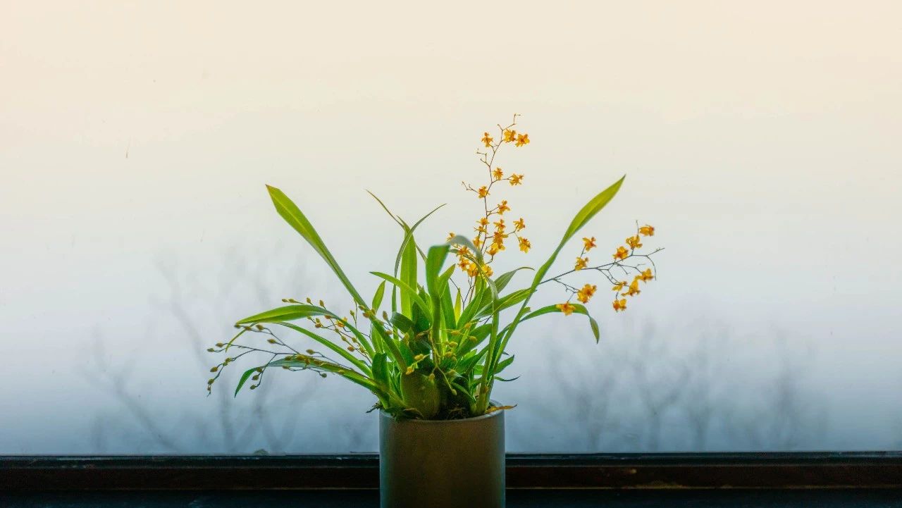 杭州·相見茶舍，若無相欠怎會(huì)相見