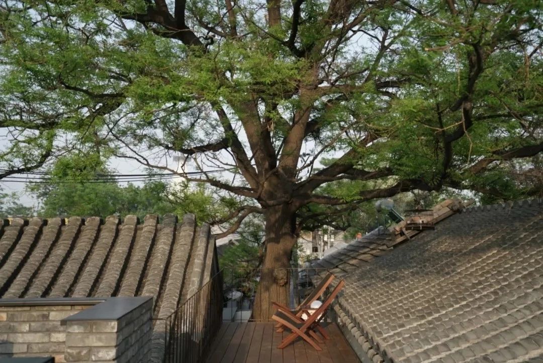 北京·有術(shù)，網(wǎng)紅建筑師青山周平的新作