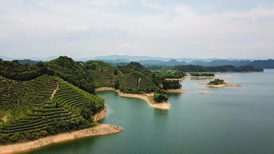 點(diǎn)叁民宿，千島湖坐船賞景豈不詩(shī)意？