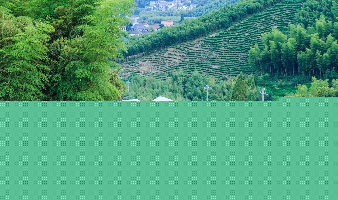 3個(gè)水泥灰時(shí)尚民宿：一種最本質(zhì)的美感
