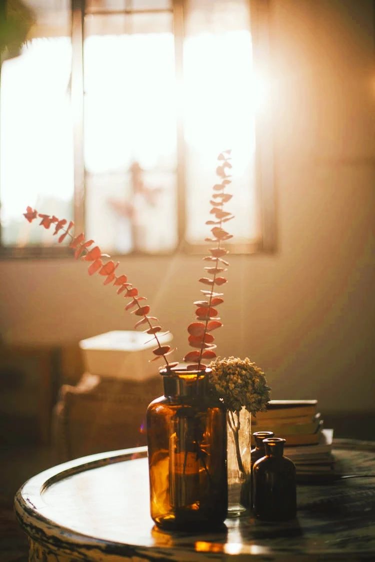廈門(mén)·花青宿，一場(chǎng)風(fēng)格迥異遠(yuǎn)古部落的夢(mèng)