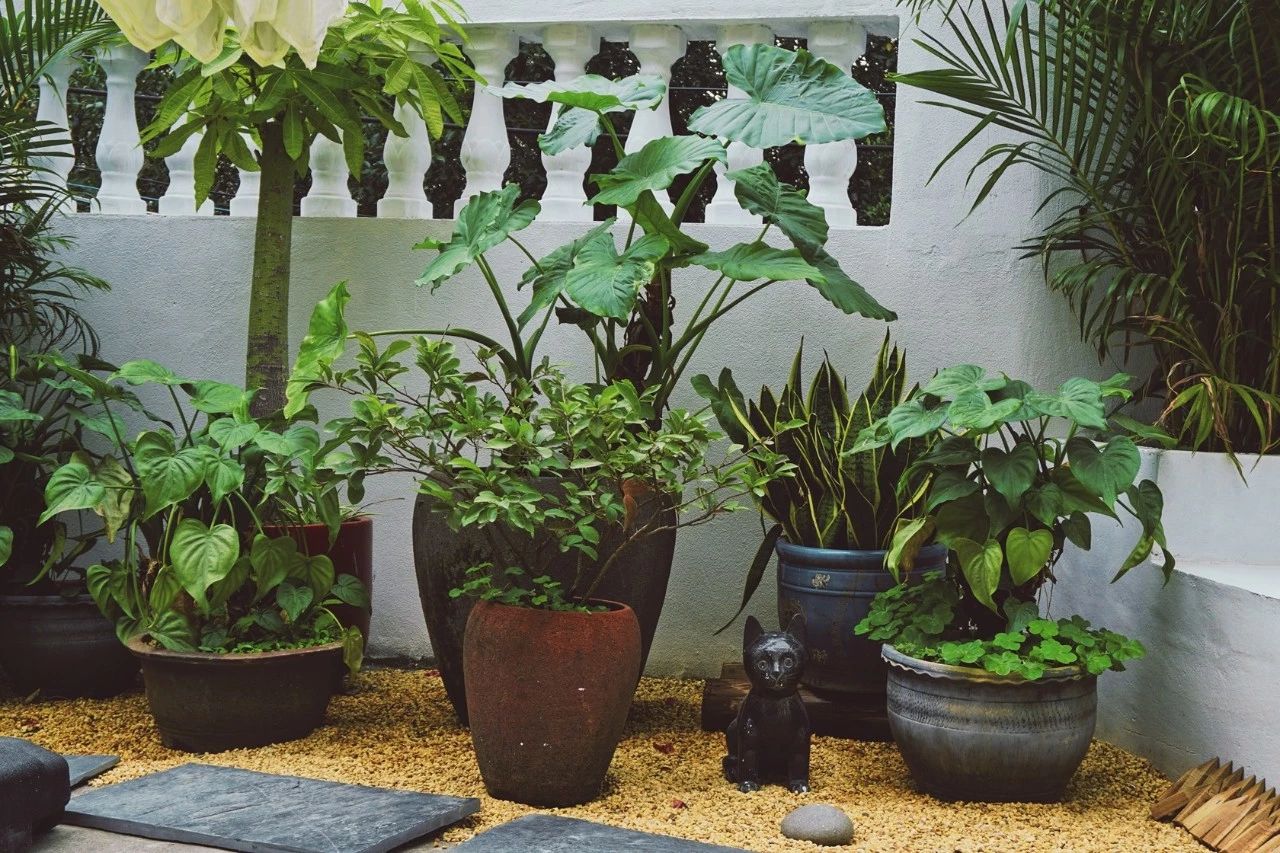 廈門·花青宿，一場風格迥異遠古部落的夢