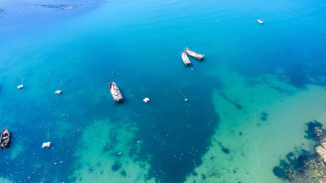 青島·瑞宿海棲，等你來就讓瑞宿帶你環(huán)游青島