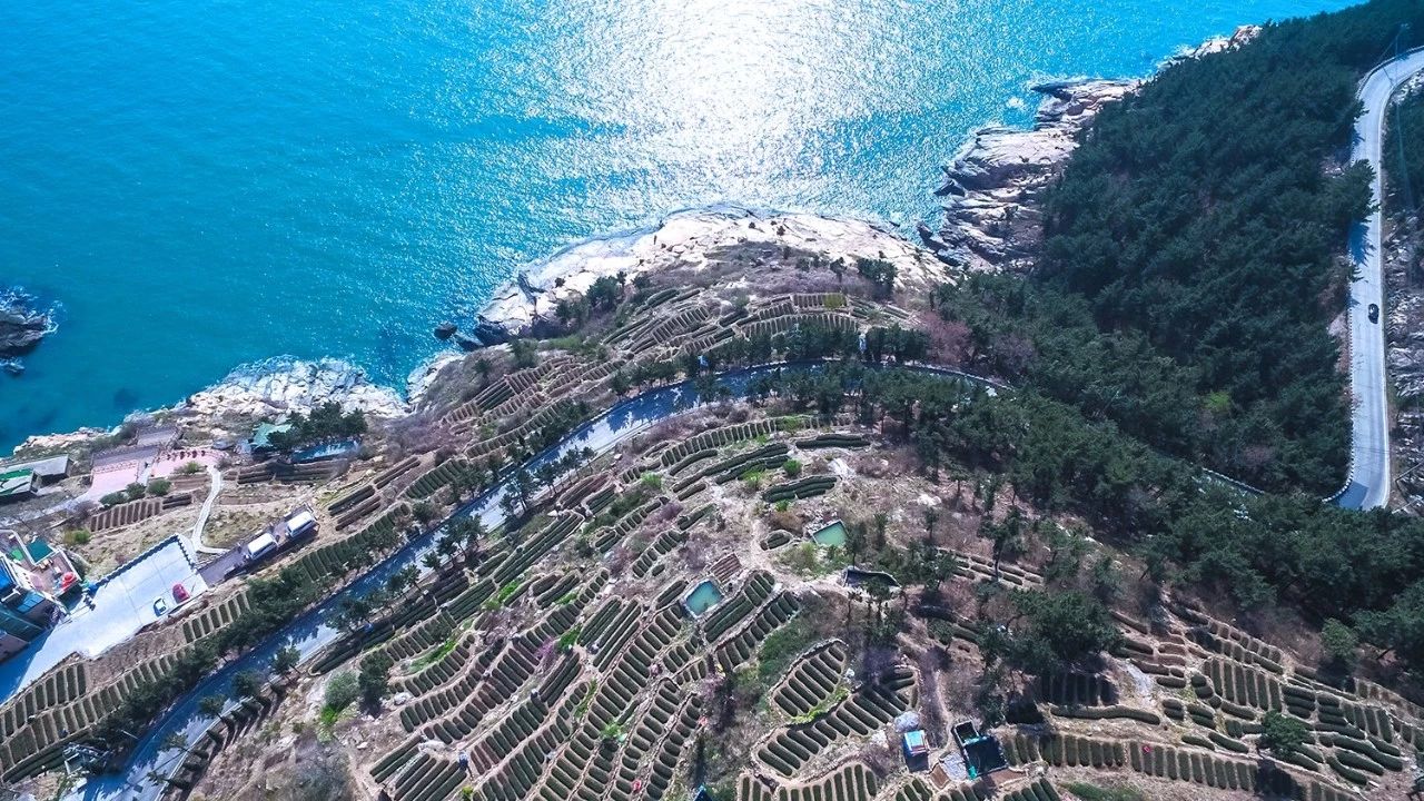 青島·瑞宿海棲，等你來就讓瑞宿帶你環(huán)游青島