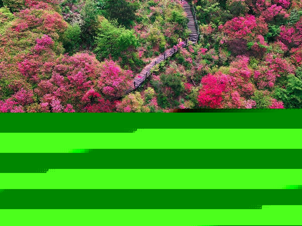 麻城·云夢如故，山里的房子就該有山里的味道