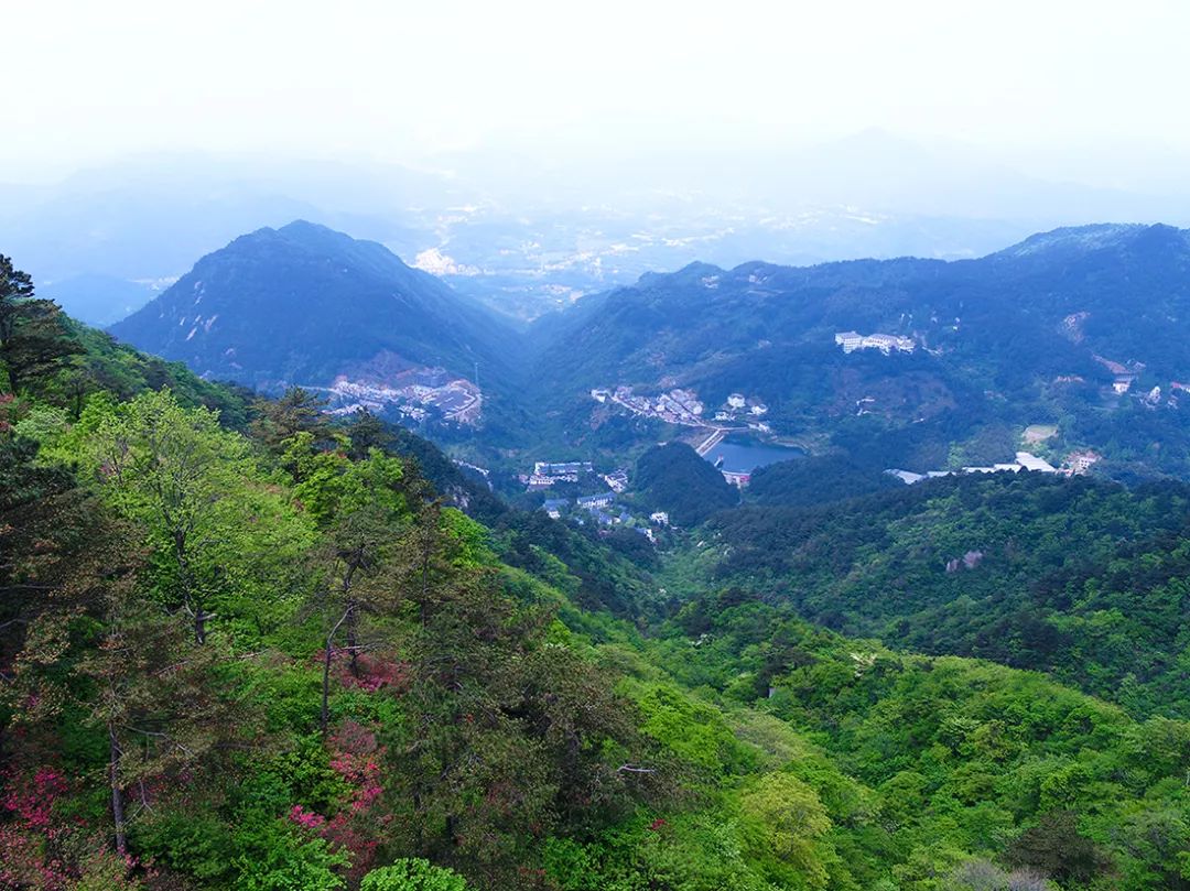 麻城·云夢如故，山里的房子就該有山里的味道