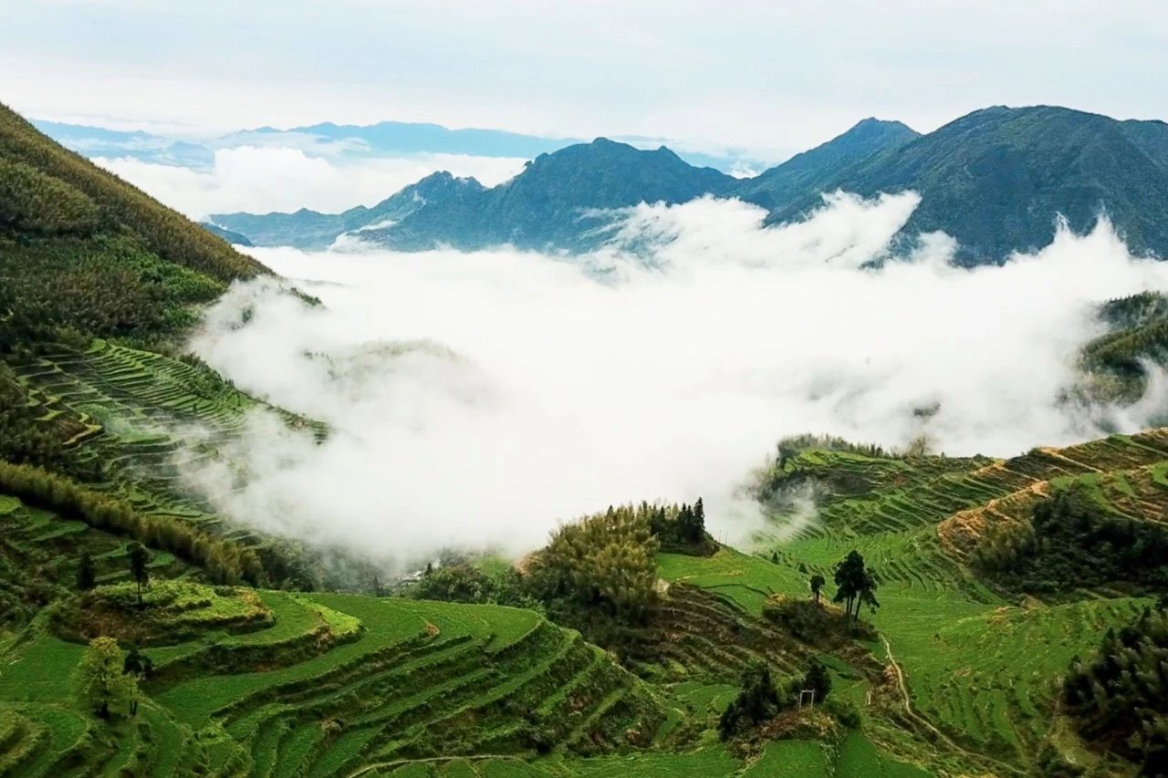 麗水云和·在田間，中國傳統(tǒng)水墨山水的意境