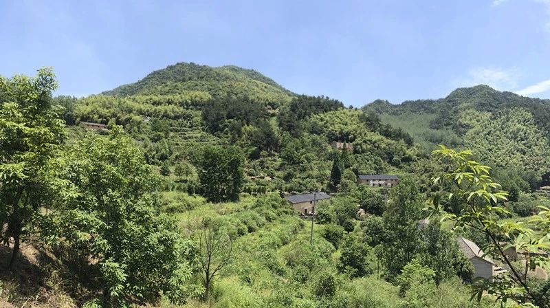 大樂之野·長丘田，許下每一個諾言都令人期待