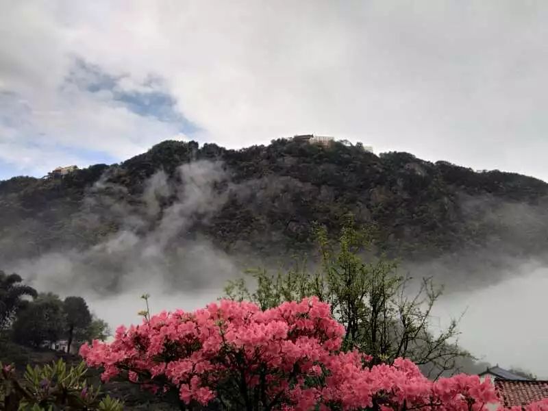 九華山·開元美途，置身俗塵外身心天地寬