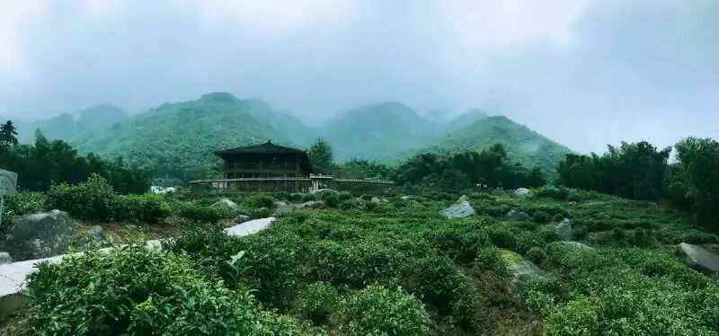 九華山·開元美途，置身俗塵外身心天地寬