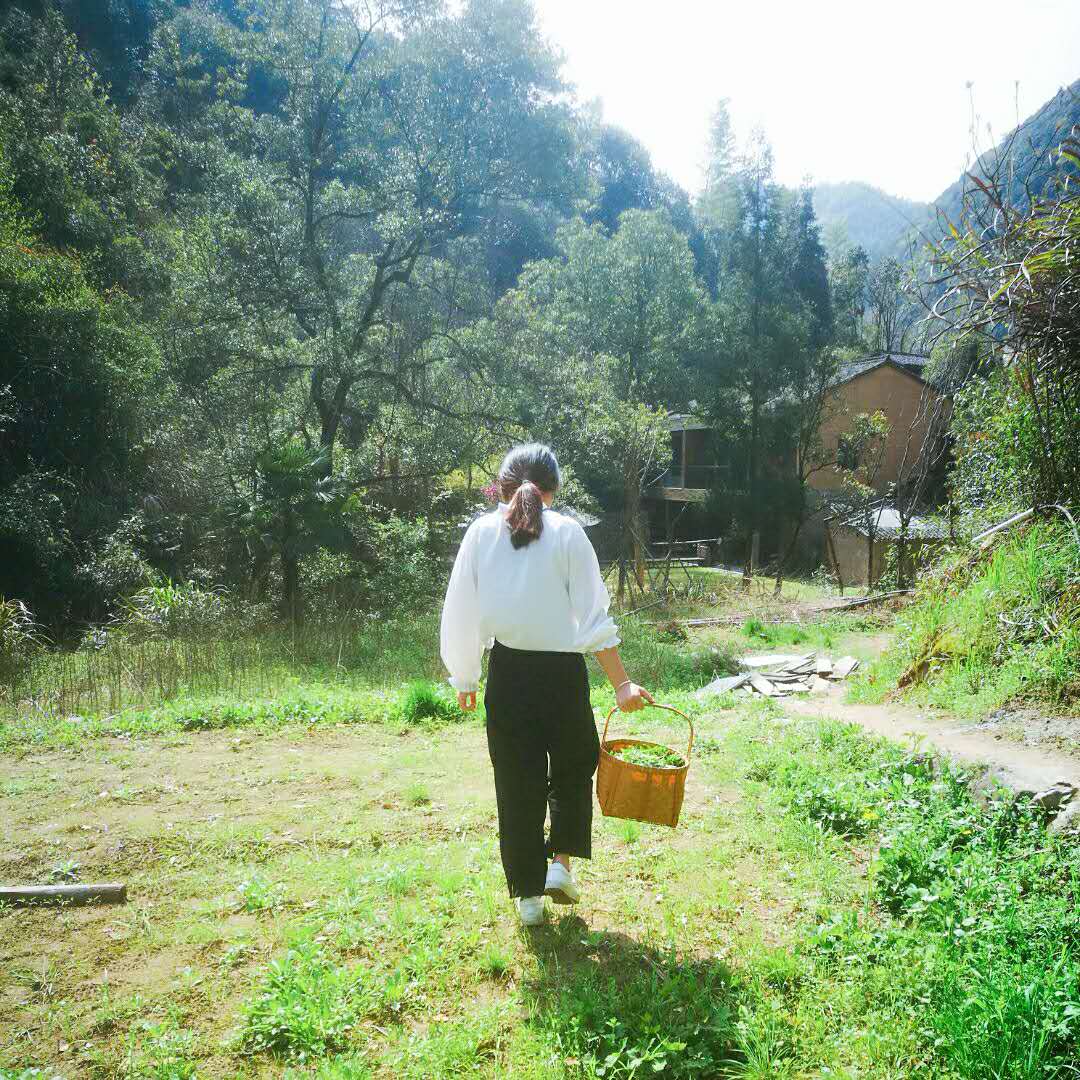 桐廬·水喜，太陽東升西落便是一天的標記