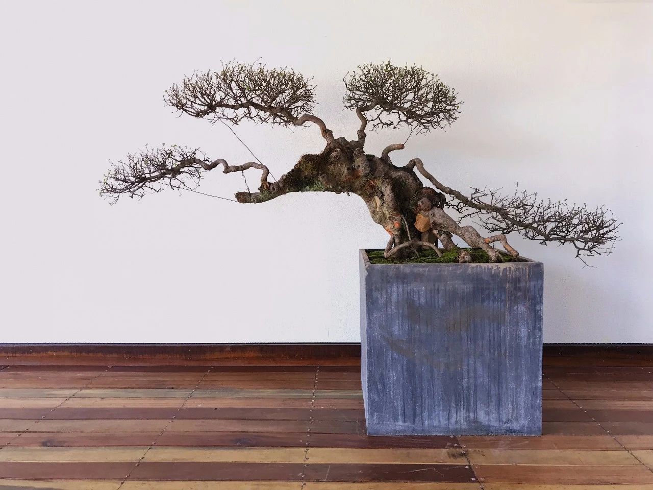 杭州·化城壹處，坐落在化城寺的佛元素里