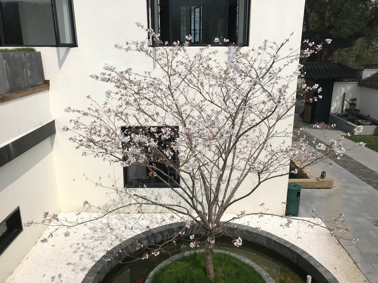 杭州·化城壹處，坐落在化城寺的佛元素里