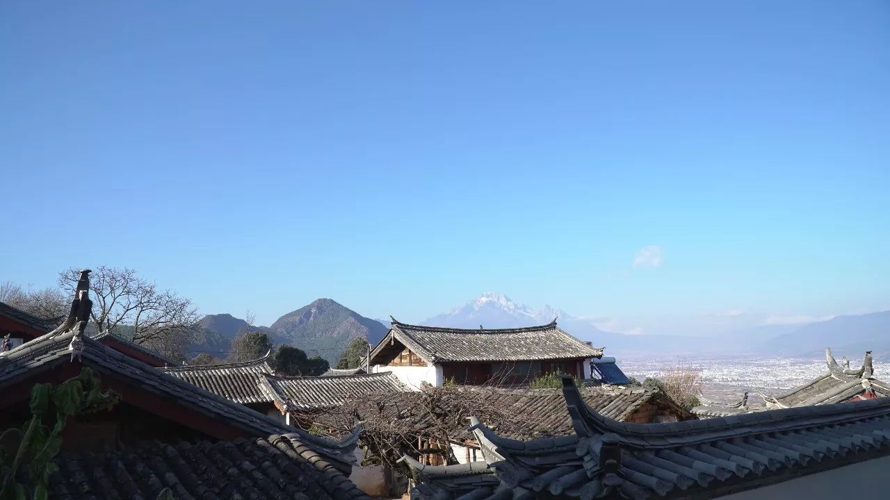 麗江·靈凈山舍，一花一木一世界！