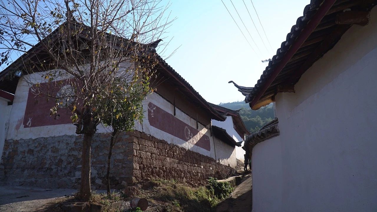 麗江·靈凈山舍，一花一木一世界！